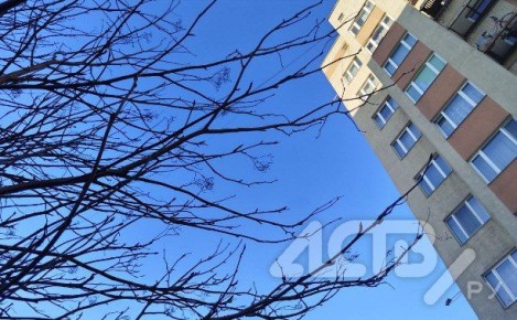 �������� ����������� � ����������: ����� ����� ������ �� ��� �������� 17 �����