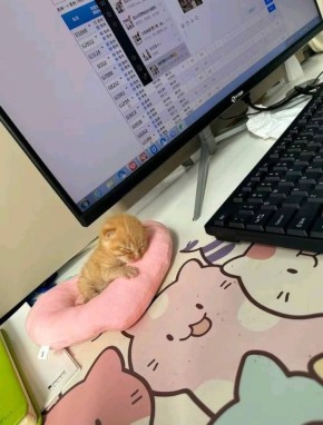 ������ ����. ����� 60 ��� ����� �� ���������� ������� ��������� ������ ����������� �������