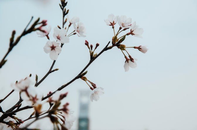 До +6° прогреется воздух на юге Сахалина