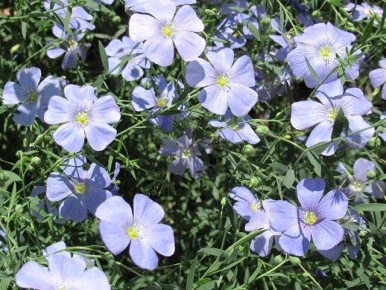 ���������� ������ ��� ������: ���� ������������� ������