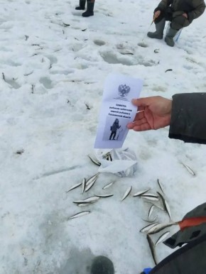 ������������� ���� ������� ��-���� ���� ����������� ���� �����