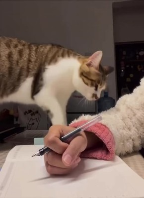 ������ ����. 61 ��� ����� ������� ������� ������� � �������� �������