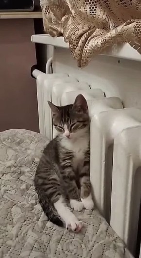 ������ ����. � ������ 19 ����� �������� ����������� �������� � ������� ��������� ��� ��� ������