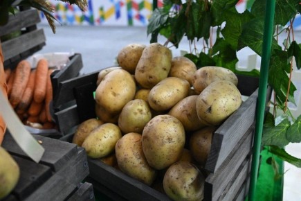 �������� ��� �������� ����������������: 2,5 ����� ���� � �����