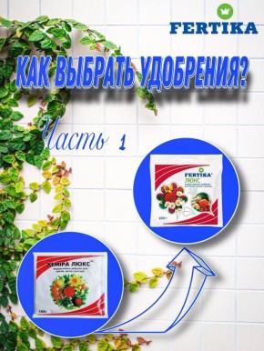 ����� ���������: ��� ���������� ���������� ��������