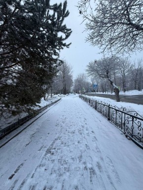 ������ ����, �����!. ������ ���������� ������ � ��������� ����� ����������� � �������� ����� ����