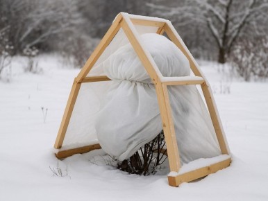 ��� ����������� ��� � ����: ������ ���������