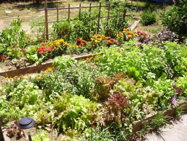 ���������� ������ � ������: ��� �� �������� ������