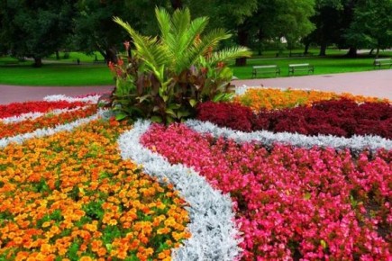 Как создать яркую клумбу своими руками: уроки от ландшафтного дизайнера