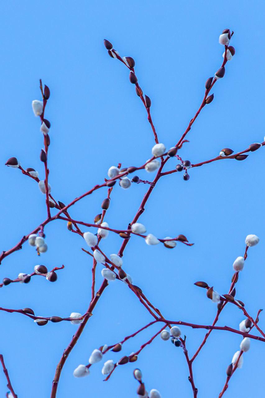 Доброе утро, Южно-Сахалинск! Доброе утро, Южно-Сахалинск!