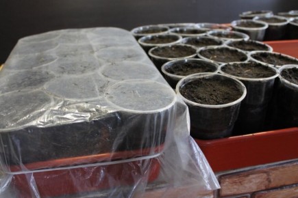 ��� �������� ������� �������: ������� ��������� ����������� �����