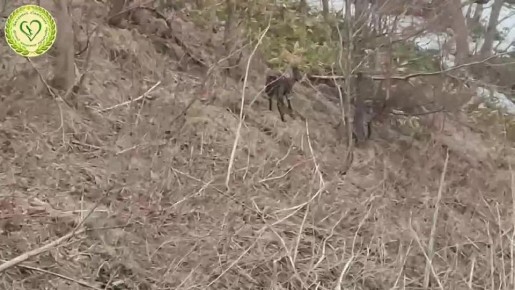 ����� ��� ��-�� �������� �������: � ��������� ������ ������������� �������