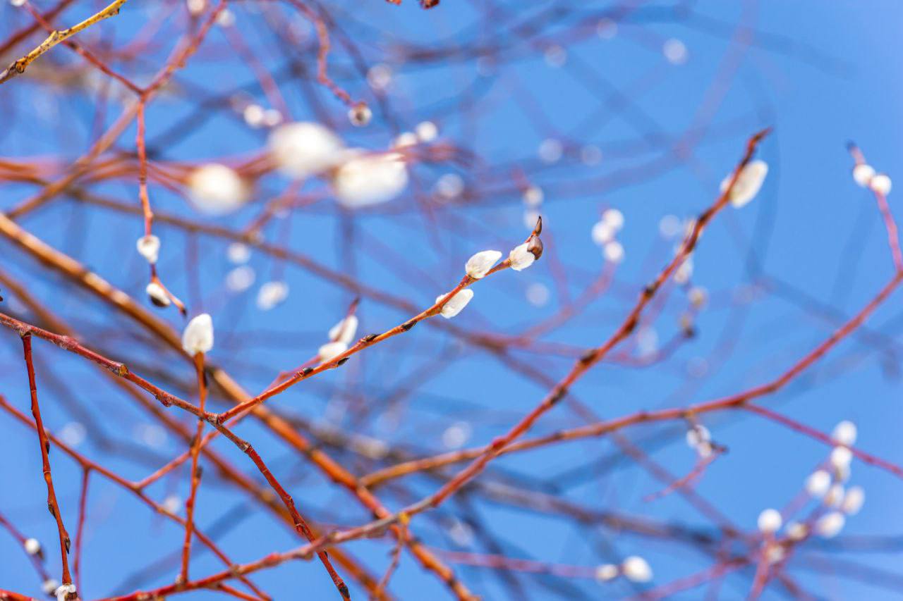 Доброе утро, Южно-Сахалинск!