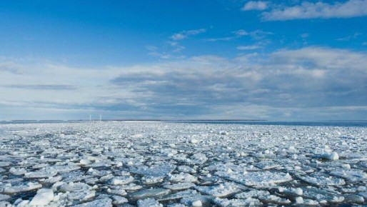 Два километра устойчивого припая образовалось в заливе Мордвинова