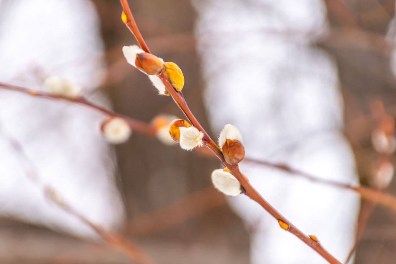 Доброе утро, Южно-Сахалинск! Доброе утро, Южно-Сахалинск!