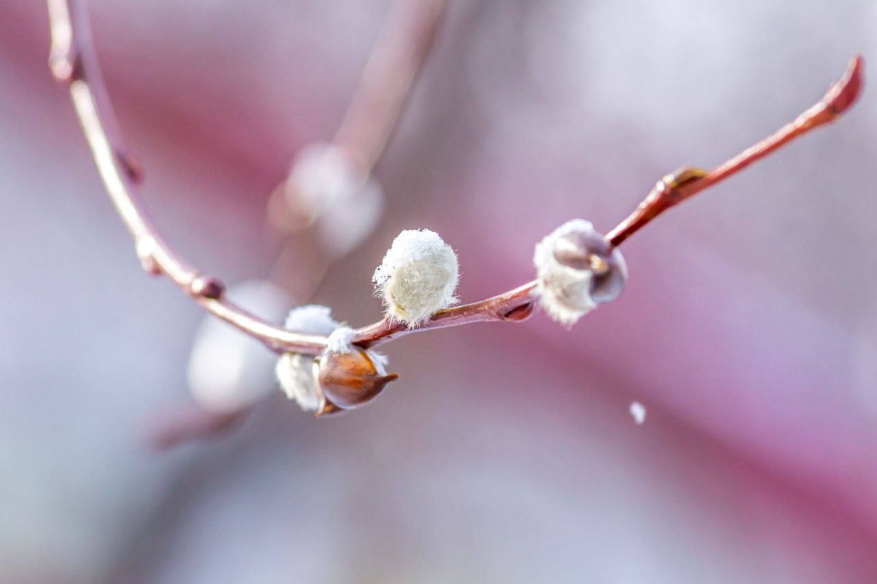 Доброе утро, Южно-Сахалинск! Доброе утро, Южно-Сахалинск!