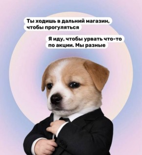 Как часто ходите в магазин за продуктами?