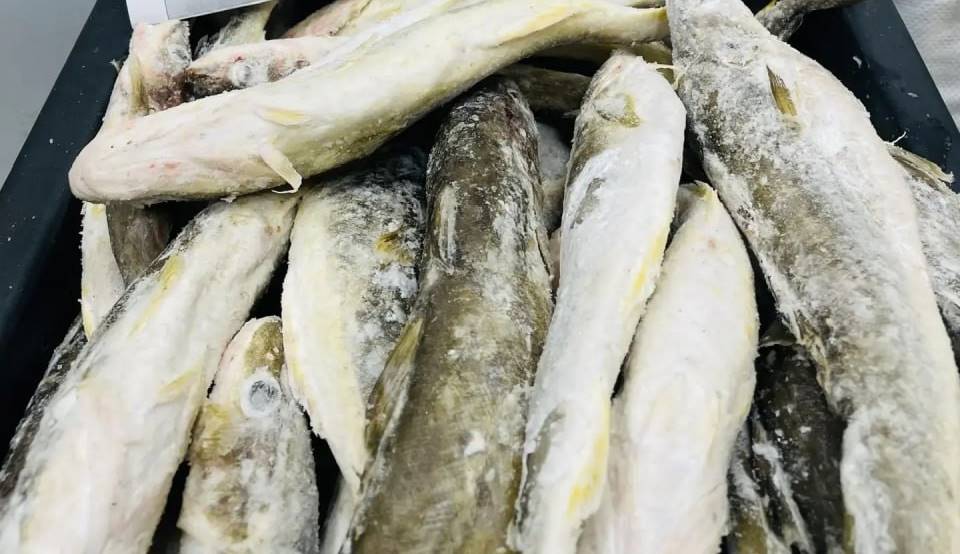 Южносахалинцам предлагают купить рыбку по социальным ценам