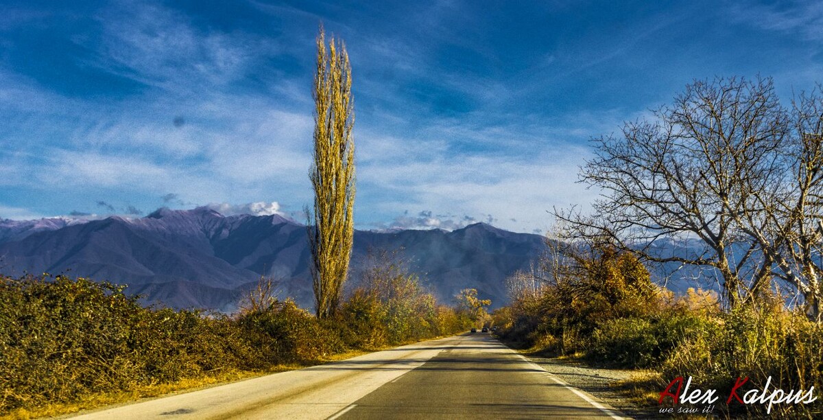 Кахетинская кухня: простота и традиции под солнцем Кавказа