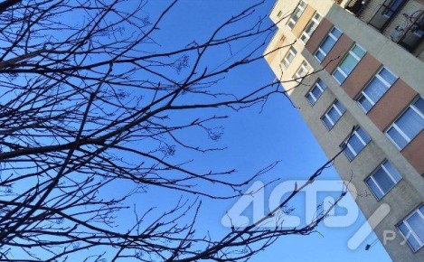 Небольшие осадки и туман: чего ждать от погоды на юге Сахалина 23 марта