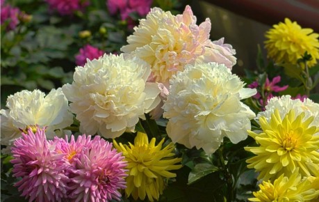 ���� �� ������� � �������: ������� ������� ��������