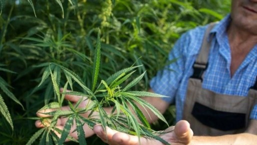 ������ �������� �������� � ������ �� ��� �������� ������ ������ ������� ������ ���