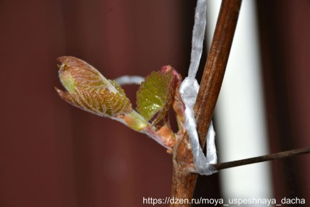 ��� ��������� ��������� �� ���������� ������ ��� �������� ������