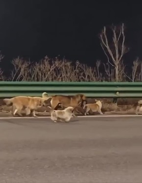 ���� ����� ������� �� ����������� � ����� � ������ 17 �� �����