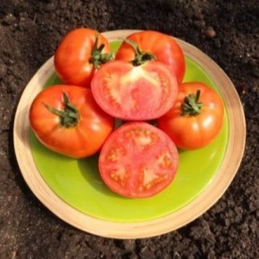 ��������� ��������: ������� ��������� ������ ������� �����