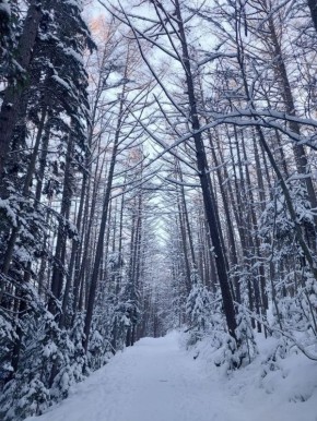 ���������� ���������� ������� ������� � ������������ ������ �������� ������