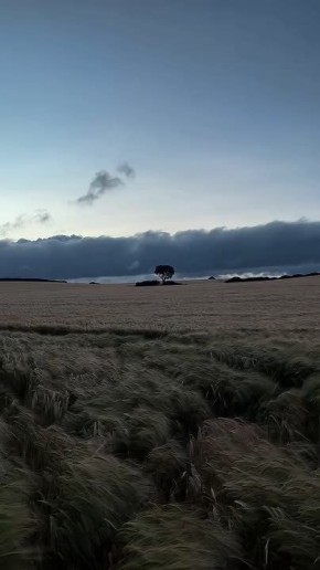 ������ ����!. ������� ���� ��������� �������� ������ � ���� ���� �������� ������� ����� ������������ � ���������� ������� III �������� (1479 � 1533) � ���� ���� ������ (1956)