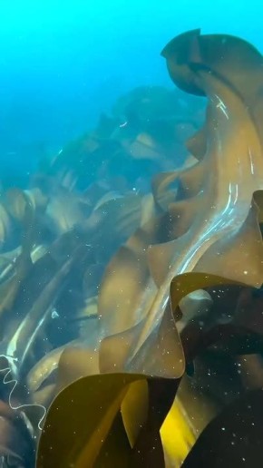 ��������� �������� ��� � ������� ��������