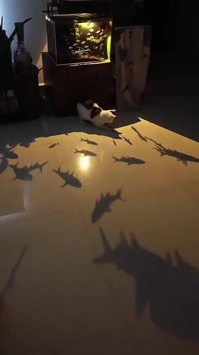 Доброе утро, Сахалин и Курилы