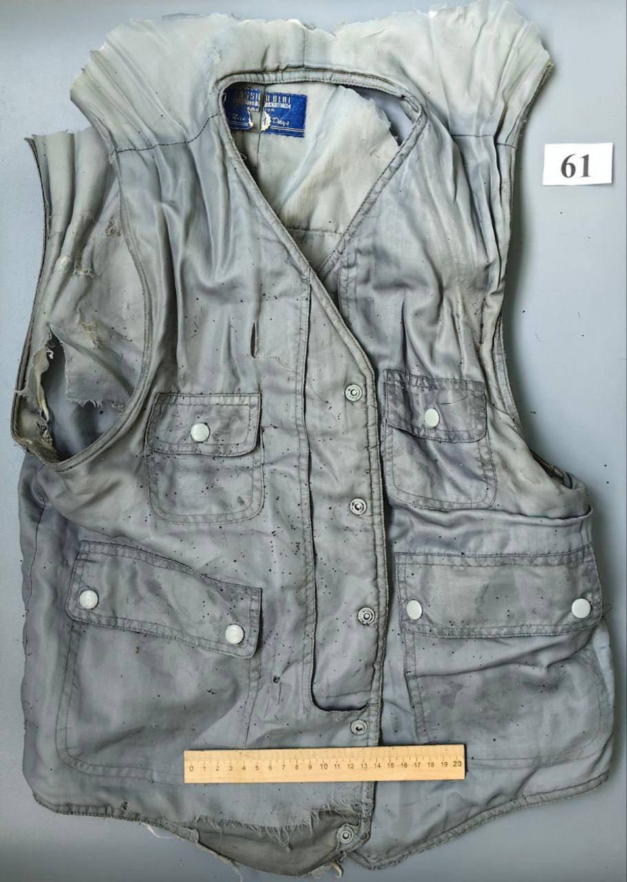 Сахалинские волонтеры спасли тюленя-модника Сахалинские волонтеры спасли тюленя-модника