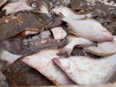 ������ ���� ������ ����� ���������� ��������������