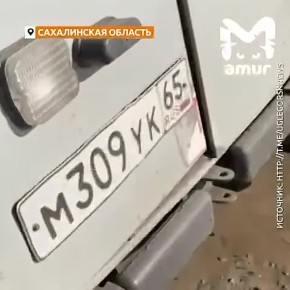 ����� �������� ����������� �� ��������