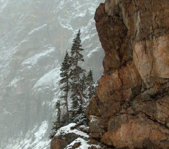 Как справиться с горем: новое понимание утраты