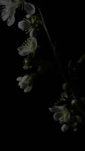 Доброе утро!. Сегодня Всемирный день историка В этот день родились писатель Максим Горький (Алексей Пешков) (1868 — 1936), актёр Иннокентий Смоктуновский (1925 — 1994), юмористы Дмитрий Брекоткин (1970) и Андрей Рожков...