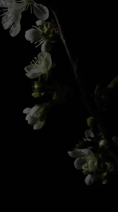 Доброе утро!. Сегодня Всемирный день историка В этот день родились писатель Максим Горький (Алексей Пешков) (1868 — 1936), актёр Иннокентий Смоктуновский (1925 — 1994), юмористы Дмитрий Брекоткин (1970) и Андрей Рожков...