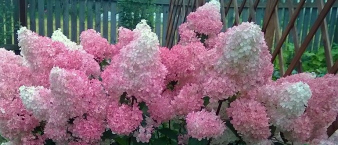 ����� ���������� ������ � ������������ ���������