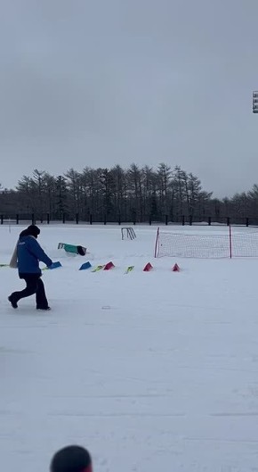 ����� ������ �������� ���� �������, ������-�������