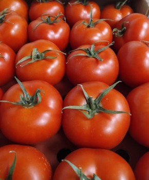 ��� ���������� �������� ��������� �� ���� � ��������� �����