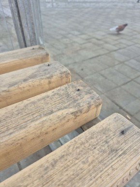 ������ �������� ������ �� �������� �� ��������� � ����-���������� � ��������