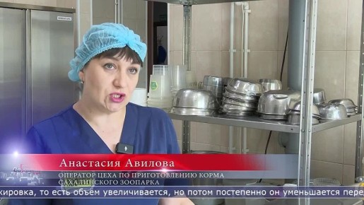 � ������� ������ ��-���������� ������� ����������� ������ � ��������� �������� ���������� ���� �� ����� ����� �������� ���� � ���������� �������