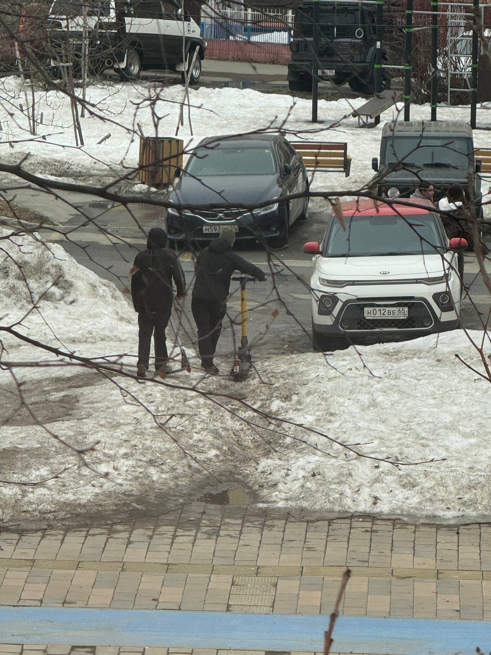Коллеги из «Официального Южного», вы же нам обещали начало сезона самокатов с 1 апреля