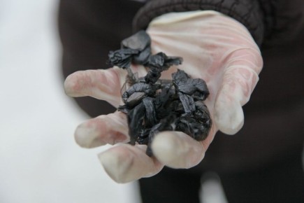 ����� ����� � 53-������� ��������� � �������� � �� �����