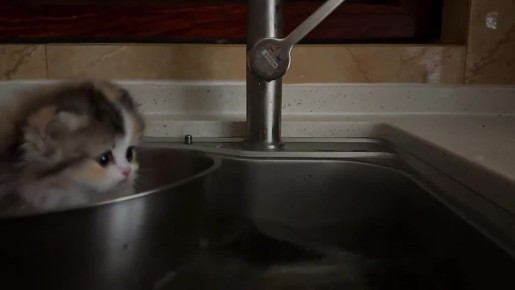 Доброе утро, Сахалин и Курилы