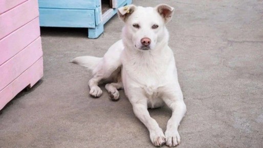 ������� �� ����: ���������� ���������, ������ ��������� ��������� �������� �������� � ���������