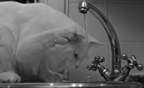 ����� ��������� ���� 1 ������ ��������� ��� ����