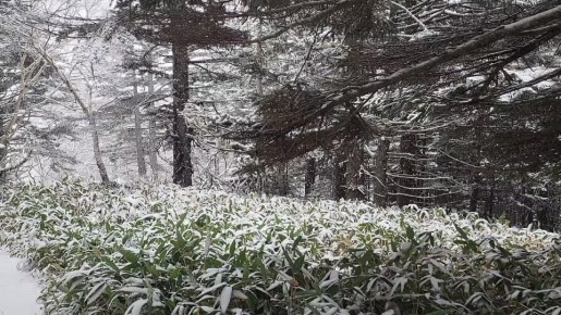 ������ ����, ������� � ������